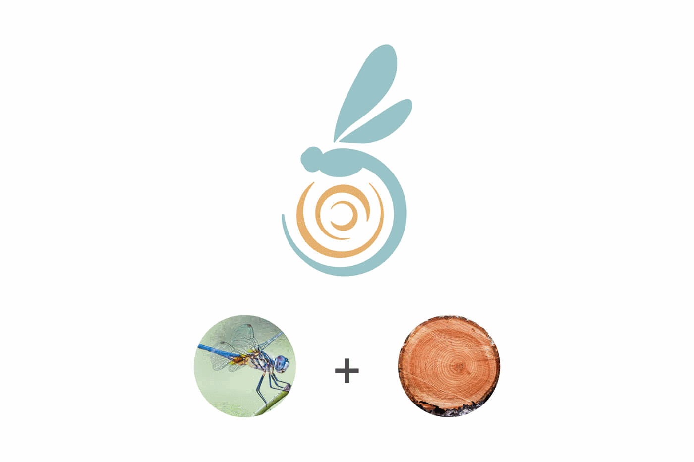 Logo libellule di legno